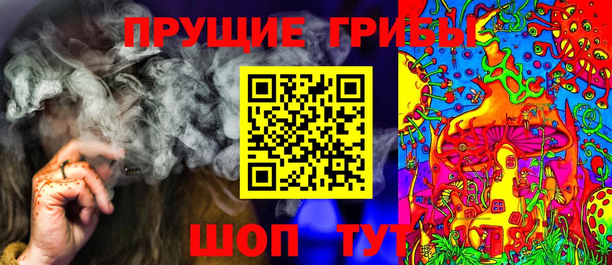 Галлюциногенные грибы MAGIC MUSHROOMS Курчалой
